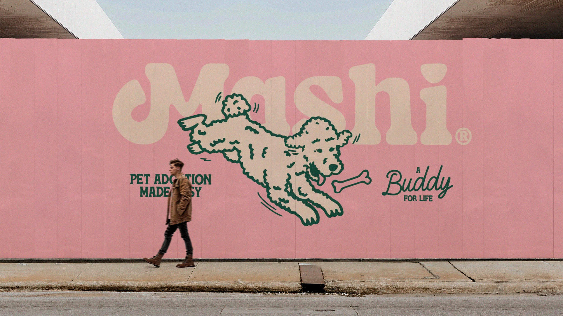 Mashi Visual Identity